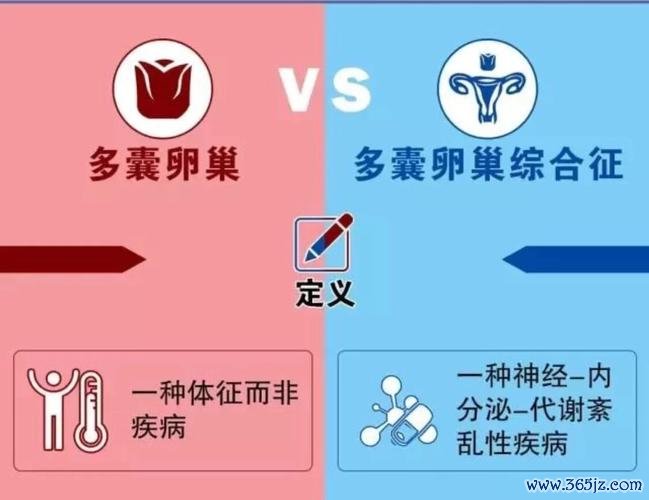 丹东试管婴儿助孕服务专业平台推荐